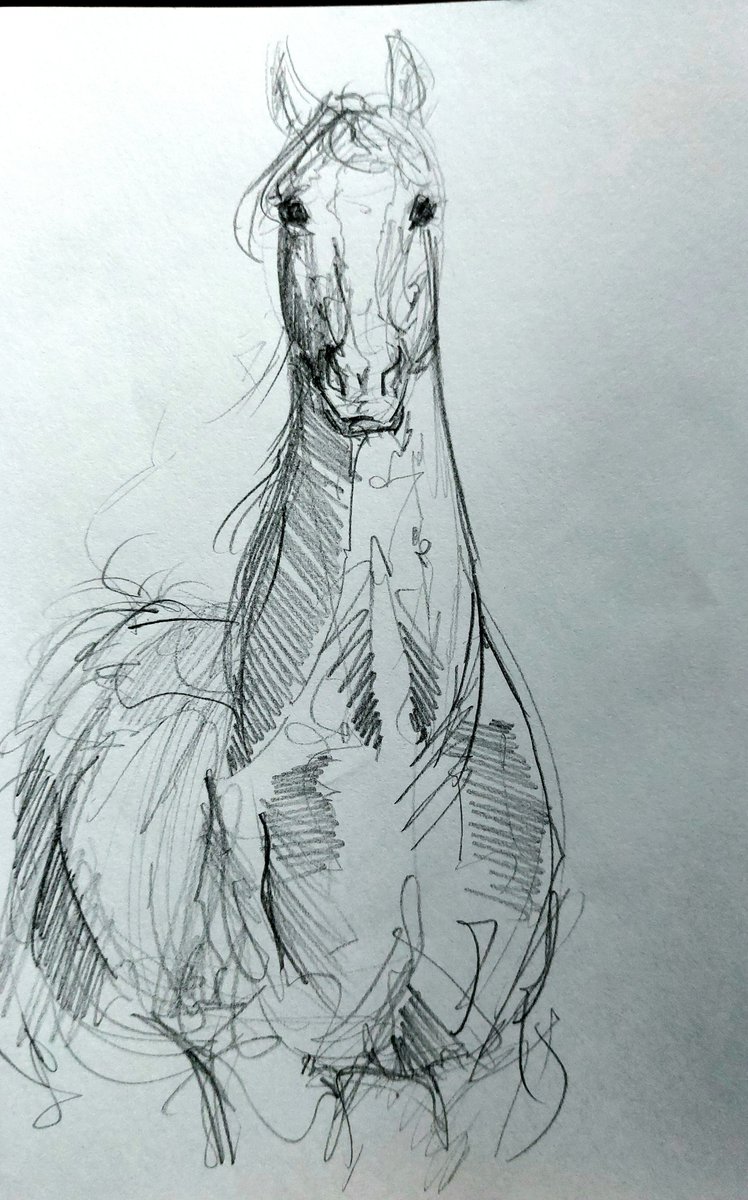 gems_bokk's tweet photo. on paper too https://t.co/1mpqbkq5Tu