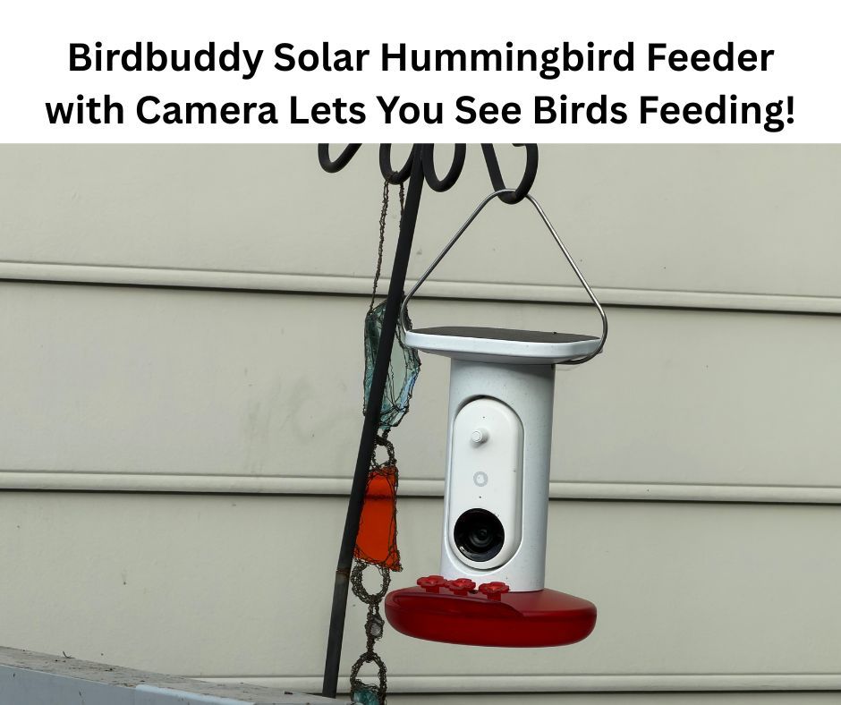 DeborahDian's tweet photo. You'll love this hummingbird feeder! While the birds enjoy their sweet nectar, this feeder has a camera that projects a livestream of them to an app on your phone.
Learn more and buy directly on #Amazon
https://t.co/viSCO0G247
#hummingbirds #hummingbirdfeeder #Ad https://t.co/yiEZOc4Xvz
