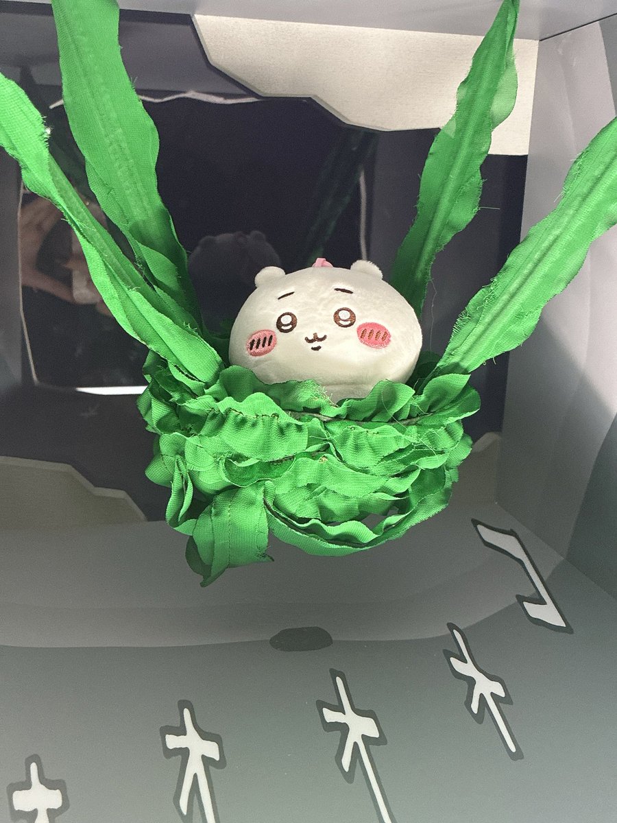 shiwaku29's tweet photo. でかいセイレーンちゃんかわいかった🥰 https://t.co/Jy9ZlUwCxB