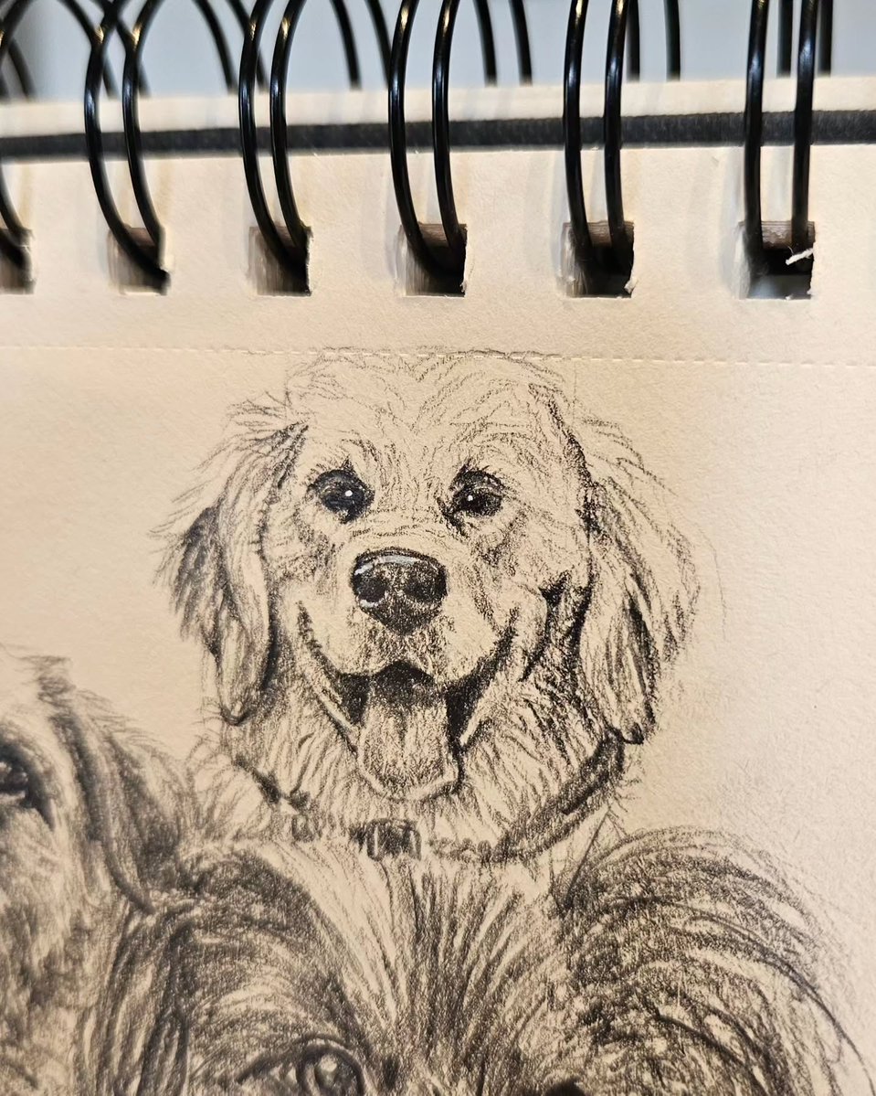 addisonscotty5i's tweet photo. Rain outside, perfect time for drawing! Today I added three more dogs to my collection. Each drawing has its own challenge, but that top row really made me puzzle. Can you recognize the three new dogs or their breeds? https://t.co/krIUZ2i0Qq
