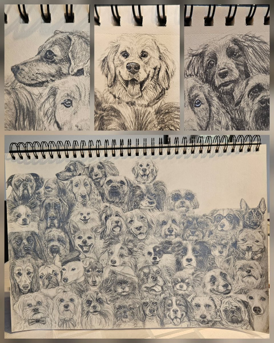addisonscotty5i's tweet photo. Rain outside, perfect time for drawing! Today I added three more dogs to my collection. Each drawing has its own challenge, but that top row really made me puzzle. Can you recognize the three new dogs or their breeds? https://t.co/krIUZ2i0Qq