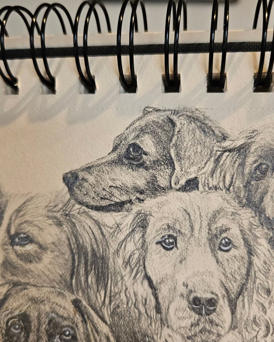 addisonscotty5i's tweet photo. Rain outside, perfect time for drawing! Today I added three more dogs to my collection. Each drawing has its own challenge, but that top row really made me puzzle. Can you recognize the three new dogs or their breeds? https://t.co/krIUZ2i0Qq