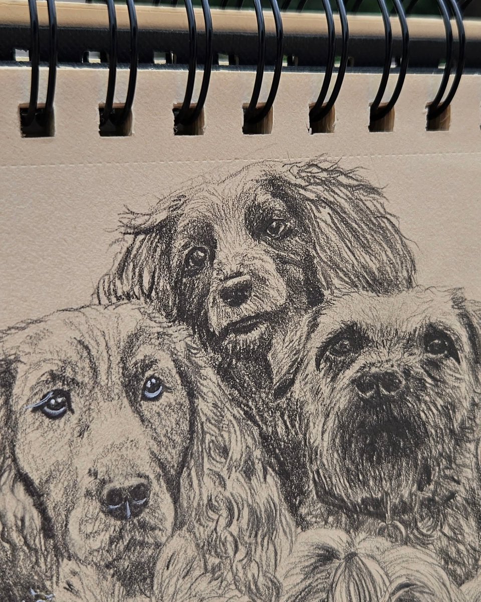 addisonscotty5i's tweet photo. Rain outside, perfect time for drawing! Today I added three more dogs to my collection. Each drawing has its own challenge, but that top row really made me puzzle. Can you recognize the three new dogs or their breeds? https://t.co/krIUZ2i0Qq