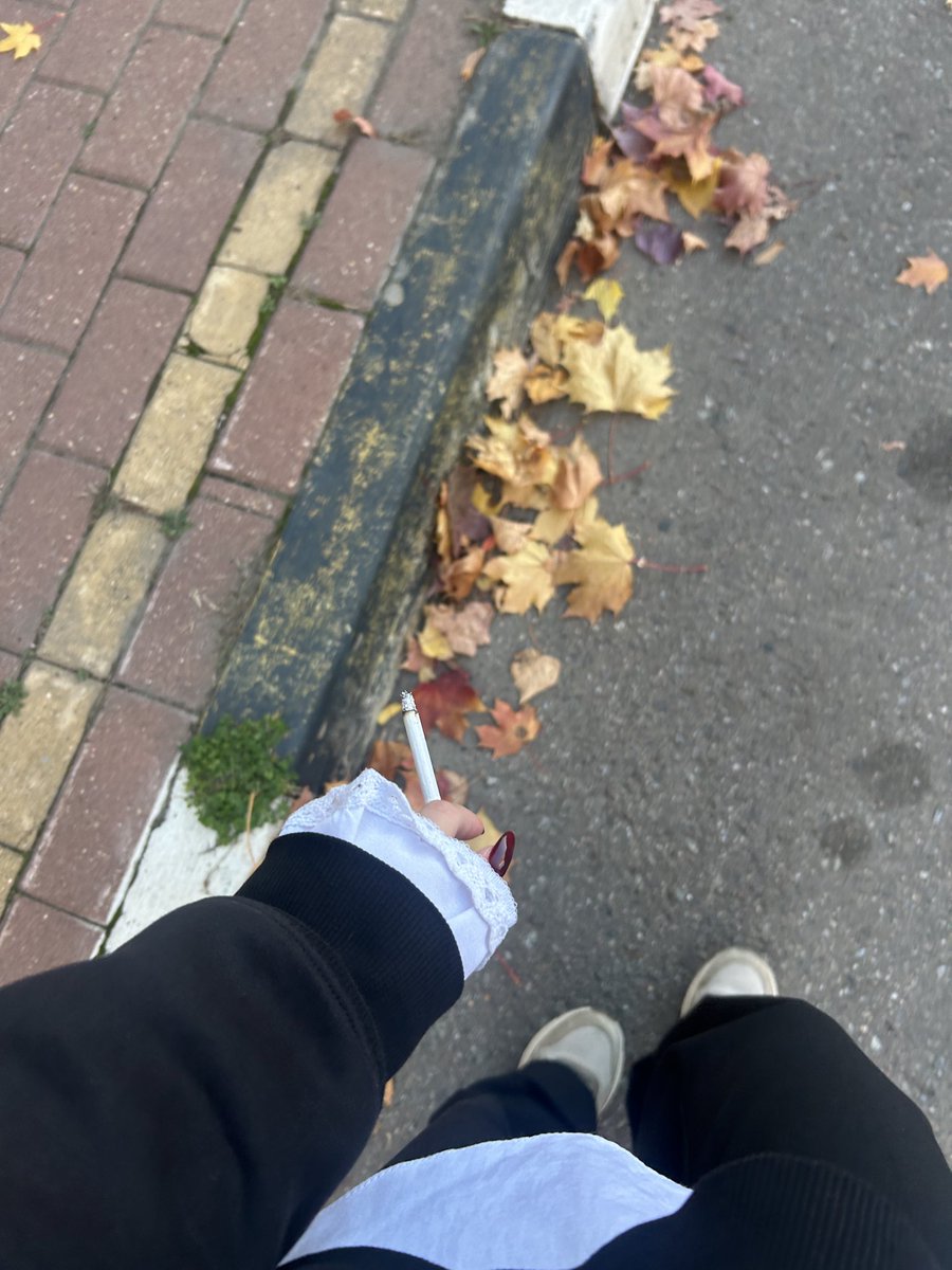 AlinkaVspak's tweet photo. осенний вайб 
меня много спрашивали
 я учусь на 2 курсе юридического и на 3 курсе экономики,просто я беру задания по тем парам на которые не хожу из-за другой специальности,тк на экономике последний год,чаще всего я на  юрфаке,сегодня пытаюсь послушать пару лекций по гп и тгп https://t.co/LdAnNfeDMT