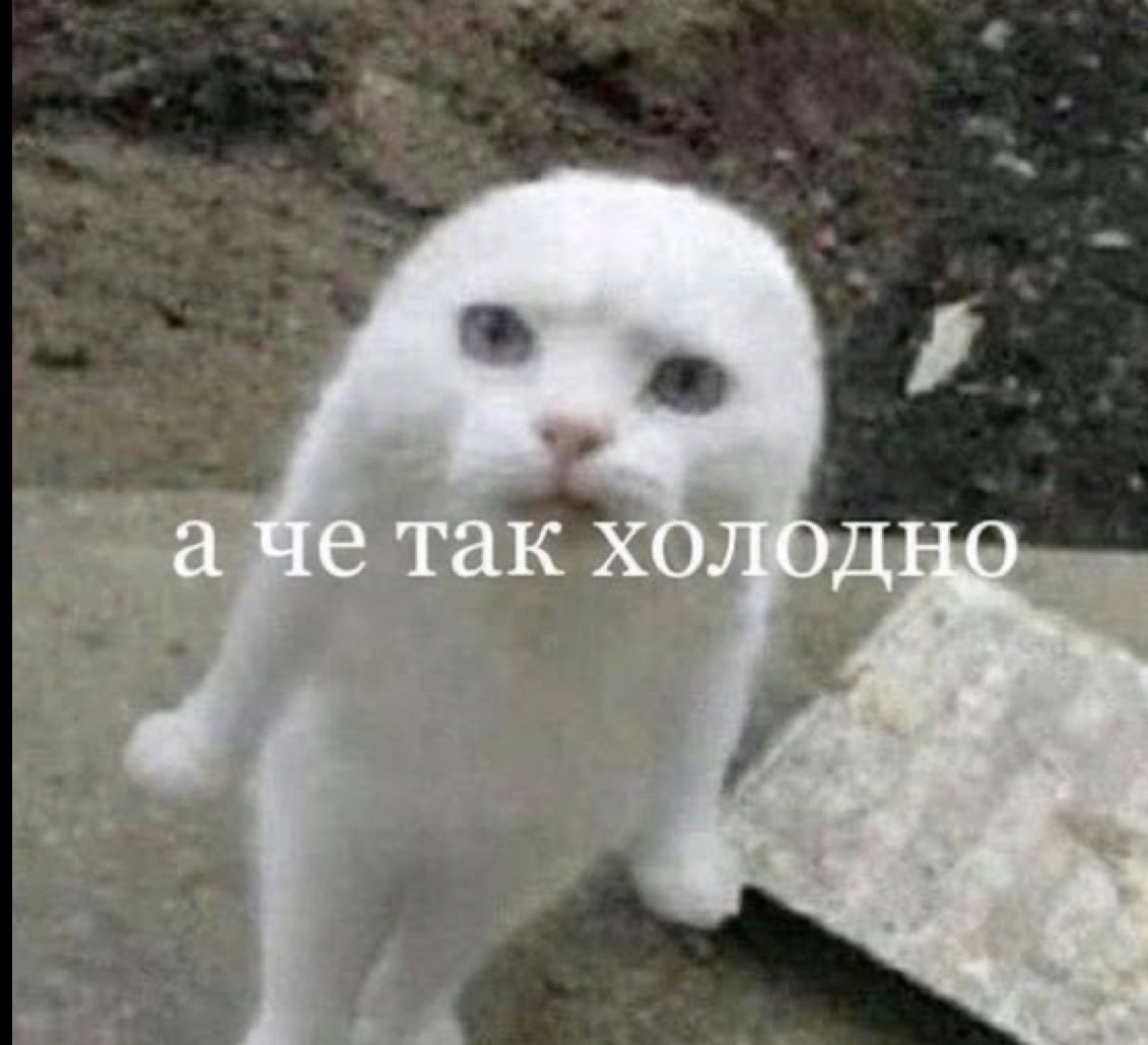 AlinkaVspak's tweet photo. осенний вайб 
меня много спрашивали
 я учусь на 2 курсе юридического и на 3 курсе экономики,просто я беру задания по тем парам на которые не хожу из-за другой специальности,тк на экономике последний год,чаще всего я на  юрфаке,сегодня пытаюсь послушать пару лекций по гп и тгп https://t.co/LdAnNfeDMT