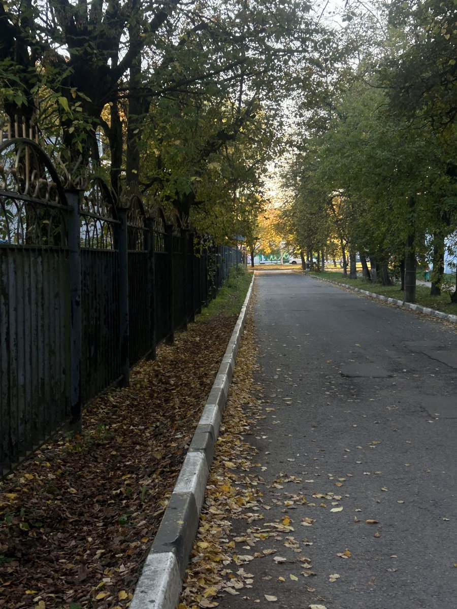 AlinkaVspak's tweet photo. осенний вайб 
меня много спрашивали
 я учусь на 2 курсе юридического и на 3 курсе экономики,просто я беру задания по тем парам на которые не хожу из-за другой специальности,тк на экономике последний год,чаще всего я на  юрфаке,сегодня пытаюсь послушать пару лекций по гп и тгп https://t.co/LdAnNfeDMT