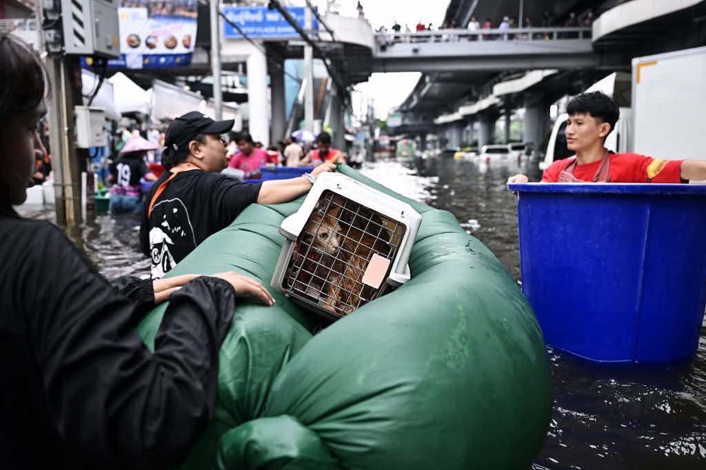 CASHualbehavior's tweet photo. “Thailand pala ’to?”  bawat Pinoy na nakakita ng pics. Lakas maka Pinas ih https://t.co/gNPXfx2V8f