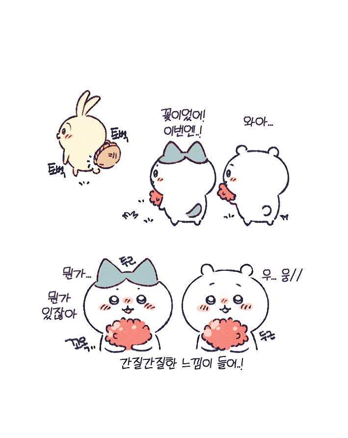 chouchou_0721's tweet photo. 오다주웠다토끼🌺 https://t.co/Me4fL9tvH2