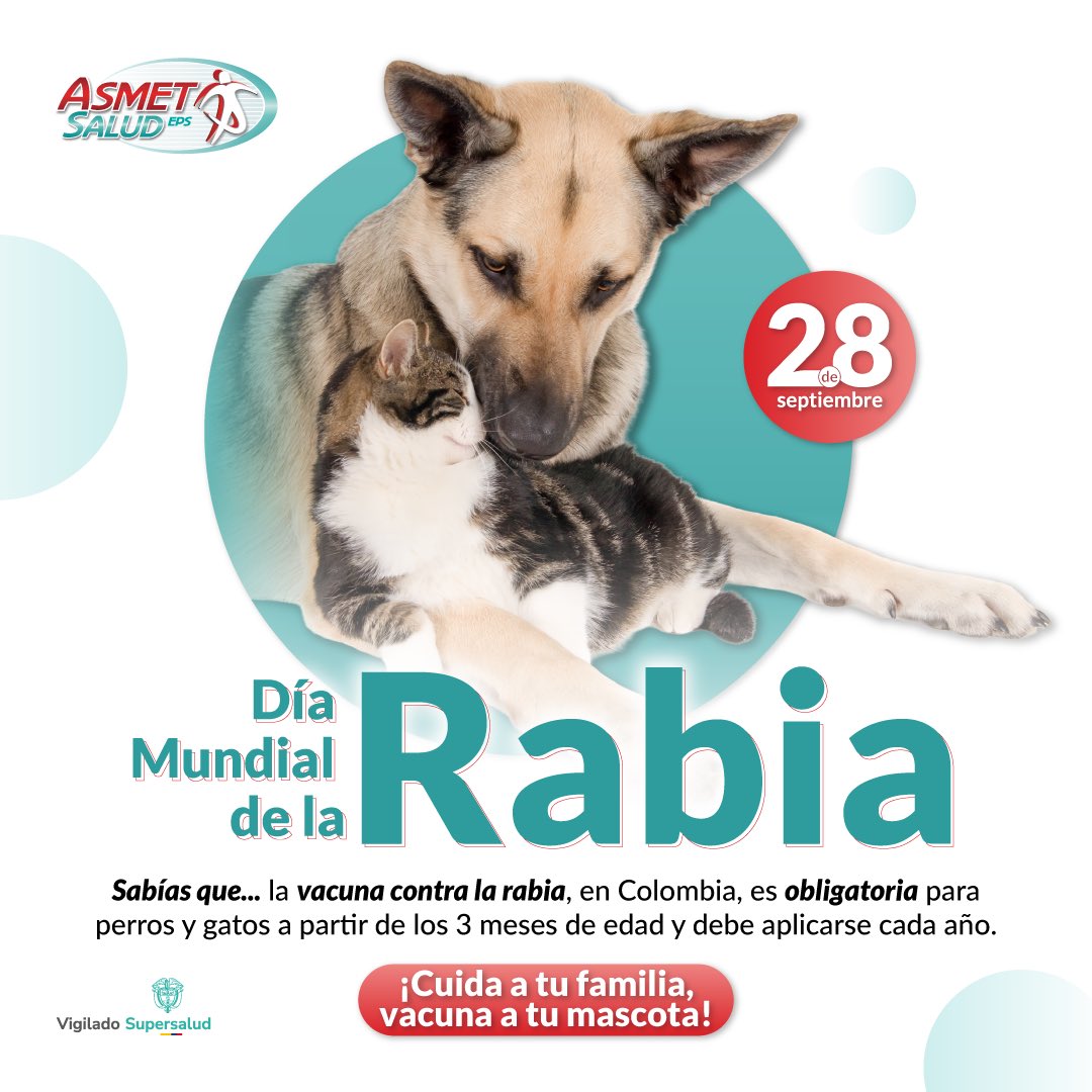 AsmetSalud's tweet photo. 🐾 Recuerda que la vacunación de perros y gatos es una de las principales formas de proteger a nuestros animales y a nuestra comunidad. Ante una mordedura o contacto con un animal que pueda transmitir la rabia, lava la herida con abundante agua y jabón y busca atención médica. https://t.co/AMbMvFHXO4