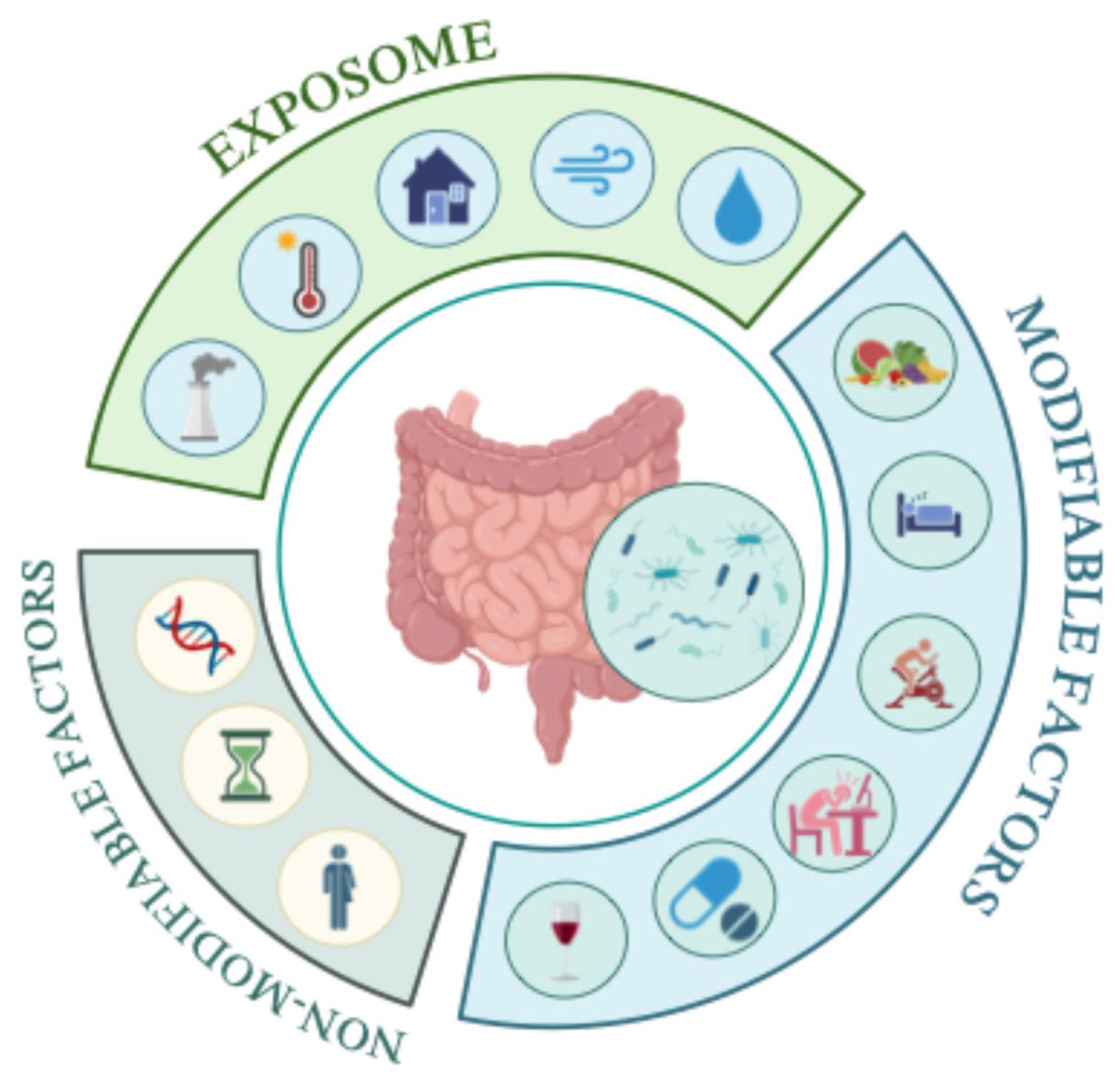 mdpi_dermato's tweet photo. 🎉 New publication in #DermatoMDPI!

"Latest and Greatest in Inflammatory Skin Disease and Gut Microbiome"

Congratulations to Alejandra Curbelo-Paz et al. 👏🔬

📖 https://t.co/NBGG86u7Qs

#Dermatology #GutMicrobiome #Microbiome #SkinHealth #MedicalResearch #OpenAccess #MDPI https://t.co/zDvxujJ9xz