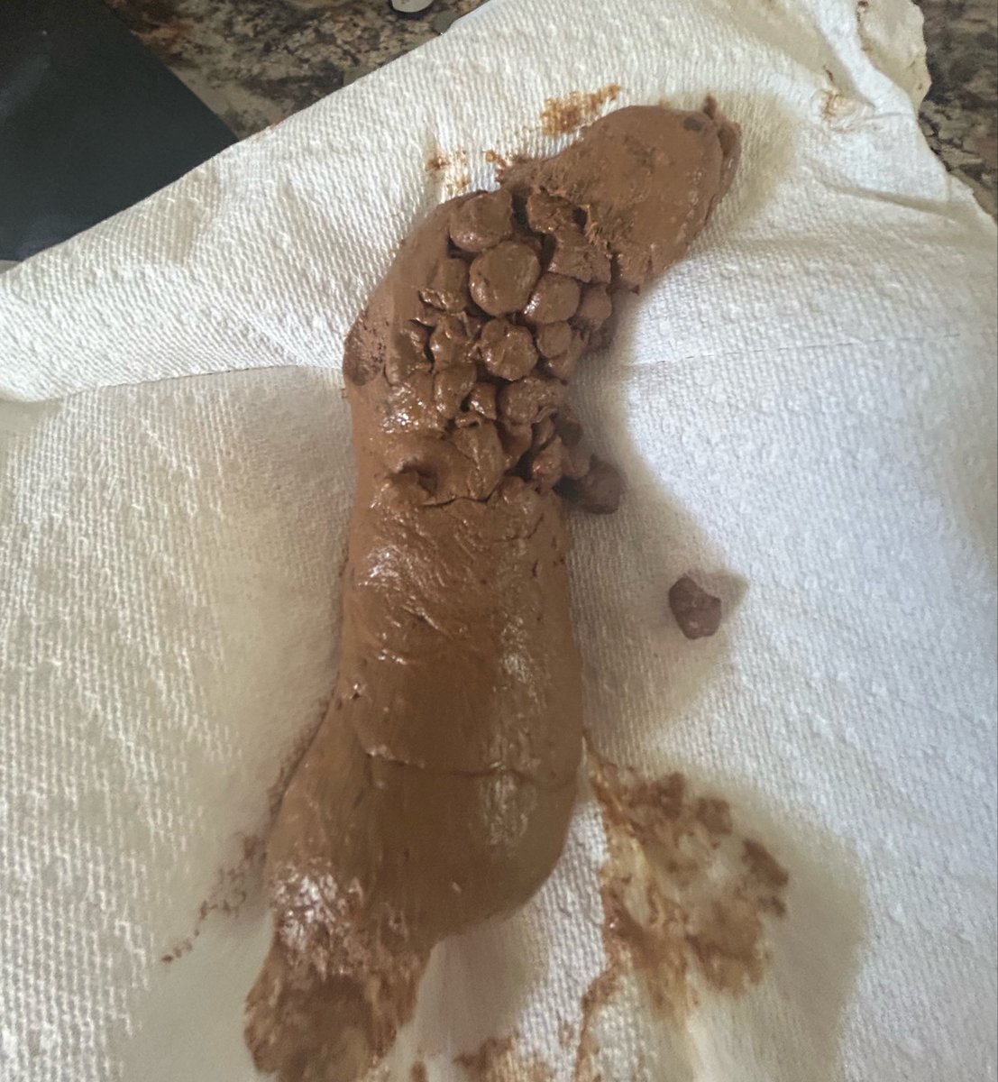yagibrapsalot's tweet photo. I may or may not have the video, just to tease you guys 🤭
#shitting #shit #scat #scatporn #hugeshit #malescat #poop #scattwt https://t.co/ev8SOOylnU