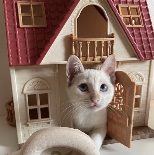 karenpawge's tweet photo. https://t.co/TxiJkC9l5a