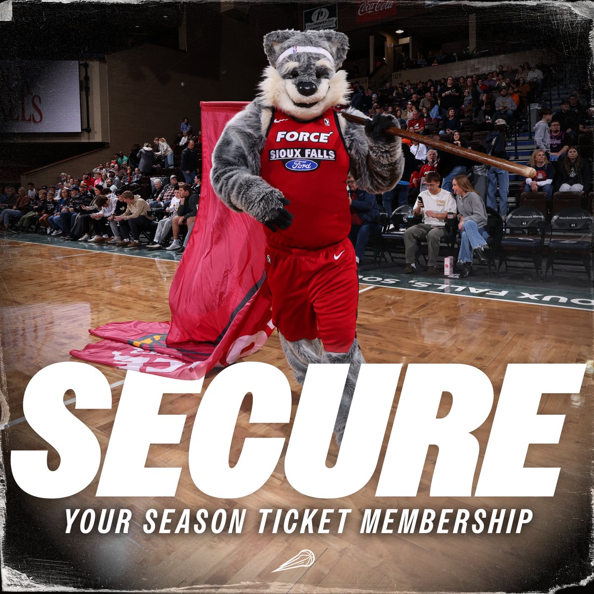 SFSkyforce's tweet photo. ✅ Roster updates 
✅ Coaching staff 
Now we just need you.

2026-27 Season Ticket Memberships are on sale now ➡️ https://t.co/y2A7Fc1upD https://t.co/tNdtH1BgnV