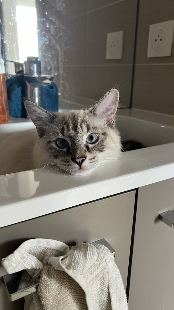 serialtwitteer's tweet photo. de nouvelles photos du fils qui a 5 mois maintenant ❤️ https://t.co/vJWUvbRRXo