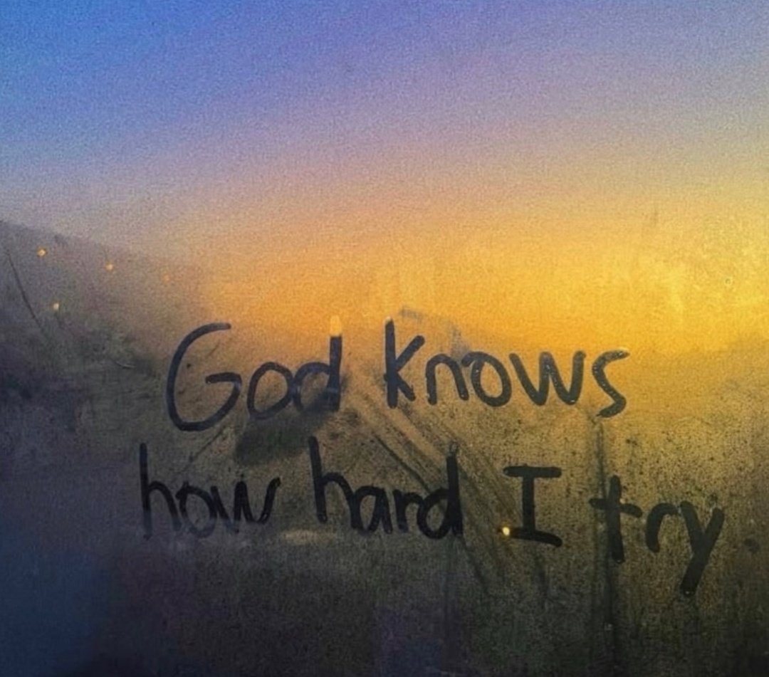 TheRich_Gospel's tweet photo. God knows. https://t.co/LjQqx3PQtH