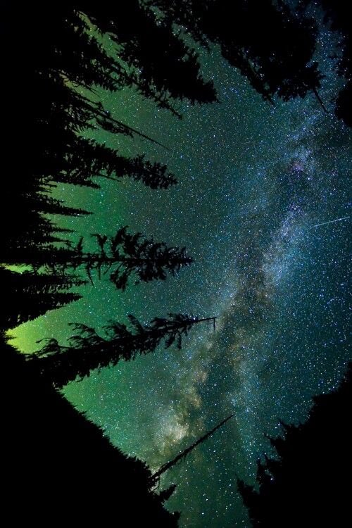 helenaphysicist's tweet photo. most stars in the sky are already dead // exploded // have gone supernova, so looking at them is like looking at a portrait of a dead-person as it encapsulates their beauty even after death — this happens every second much like death on earth but we get to appreciate it now. https://t.co/rMjMV3H3KS