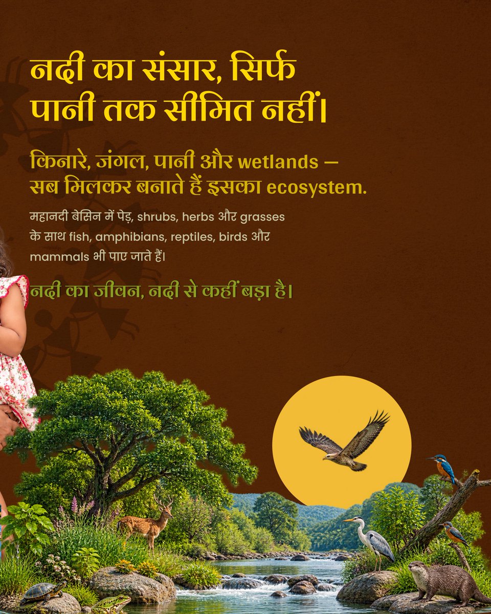 NRCD_MoJS's tweet photo. महानदी सिर्फ एक नदी नहीं, एक जीवंत ecosystem है।
इसके पानी, किनारों और आसपास के habitats से अनगिनत प्रजातियों का जीवन जुड़ा है। महानदी को समझना, उसके इस पूरे जीवन-संसार को समझना भी है।
#NadiGatha #Mahanadi #Biodiversity #RiverEcosystem #RiverConservation #MahanadiRiver
@CWCOfficial_GoI @OdishaWater