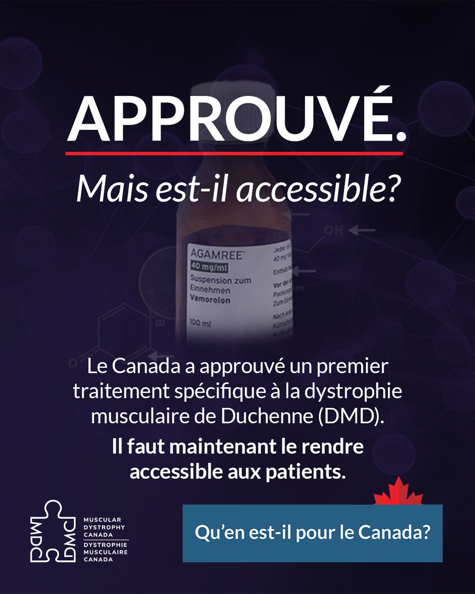 Action_Musclee's tweet photo. LE CANADA APPROUVE UN PREMIER TRAITEMENT POUR LA DYSTROPHIE MUSCULAIRE DE DUCHENNE, MAIS EXIGE QU'IL NE COÛTE PAS PLUS QUE LA PREDNISONE. Comment l'innovation peut-elle survivre dans ces conditions?

AGAMREE(r) (vamorolone) de KyePharma est le tout premier traitement spécifiquement approuvé pour la dystrophie musculaire de #Duchenne au Canada.

L’Agence des médicaments du Canada (AMC) vient de recommander le remboursement du vamorolone, mais à une condition : que son coût ne dépasse pas celui de la prednisone.

La prednisone demeure un traitement important, mais il s'agit d'un corticostéroïde générique peu coûteux, vieux de plusieurs décennies. Son prix ne peut raisonnablement pas servir de référence pour définir la valeur de chaque nouveau traitement mis au point par la suite.

Le vamorolone a été conçu pour conserver les bienfaits des corticostéroïdes tout en éliminant les principaux inconvénients liés à leur usage prolongé. L'agence a elle-même reconnu ses avantages sur la croissance linéaire, les biomarqueurs osseux et la réduction des fractures vertébrales. Elle a d'ailleurs souligné que des données actualisées, issues d'un suivi allant jusqu'à huit ans, renforçaient la fiabilité de ces résultats. Pourtant, après avoir reconnu ces différences, l’AMC a estimé qu'elles n'avaient aucune valeur économique supplémentaire.

Pour les patients et leurs proches, la croissance, la santé osseuse et les répercussions d’un traitement prolongé sont primordiales : elles conditionnent l’enfance, la mobilité, l'autonomie et le quotidien des familles.

Imaginez apprendre que le Canada approuve le tout traitement pour la maladie de votre enfant, tout en exigeant qu'il ne coûte pas plus cher qu'un médicament générique mis au point il y a des décennies.

Imaginez continuer à attendre pendant que la maladie de votre enfant progresse et que les agences débattent pour savoir si ces différences ont suffisamment de valeur.

Cette décision soulève une question beaucoup plus vaste : si le Canada s'attend à ce qu'un médicament contre une maladie rare se vende au prix du générique le moins cher du marché, pourquoi les chercheurs, les laboratoires et les fabricants continueraient-ils d'investir dans l'innovation, ou même de privilégier le Canada? L'hon. Marjorie Michel

Ultimement, ce sont les patients qui en paieront le prix fort, à travers un choix de traitements restreint, des lancements reportés et des délais encore plus longs.

Après dix années limitées aux essais cliniques, le vamorolone est resté bloqué plus de 579 jours dans le processus d'évaluation et de remboursement canadien. Les familles ont assez attendu.

Nous demandons à la pCPA de lancer immédiatement des négociations pour un accord qui tient compte de la science, des réalités des maladies rares et des besoins des familles.

Nous demandons à chaque province et territoire de se joindre aux négociations dès maintenant, de planifier sa mise en œuvre en parallèle et de s'engager à une inscription rapide sur les listes publiques dès qu'un accord aura été conclu.

Tout en saluant cette première approbation, nous savons qu'une vraie victoire n'existe que si le traitement est accessible. Alors que 8 traitements pour la dystrophie musculaire de Duchenne sont disponibles aux États-Unis et qu'un seul est approuvé ici au Canada, Dystrophie musculaire Canada est prête à travailler avec les décideurs pour donner aux Canadiennes et aux Canadiens touchés par la DMD un véritable accès aux traitements dont ils ont besoin.

Reconnaître l'innovation sans créer de voie d'accès viable ne change rien pour les familles. Il faut agir maintenant. Le temps, c'est du muscle.

#QuEnEstIlPourLeCanada?