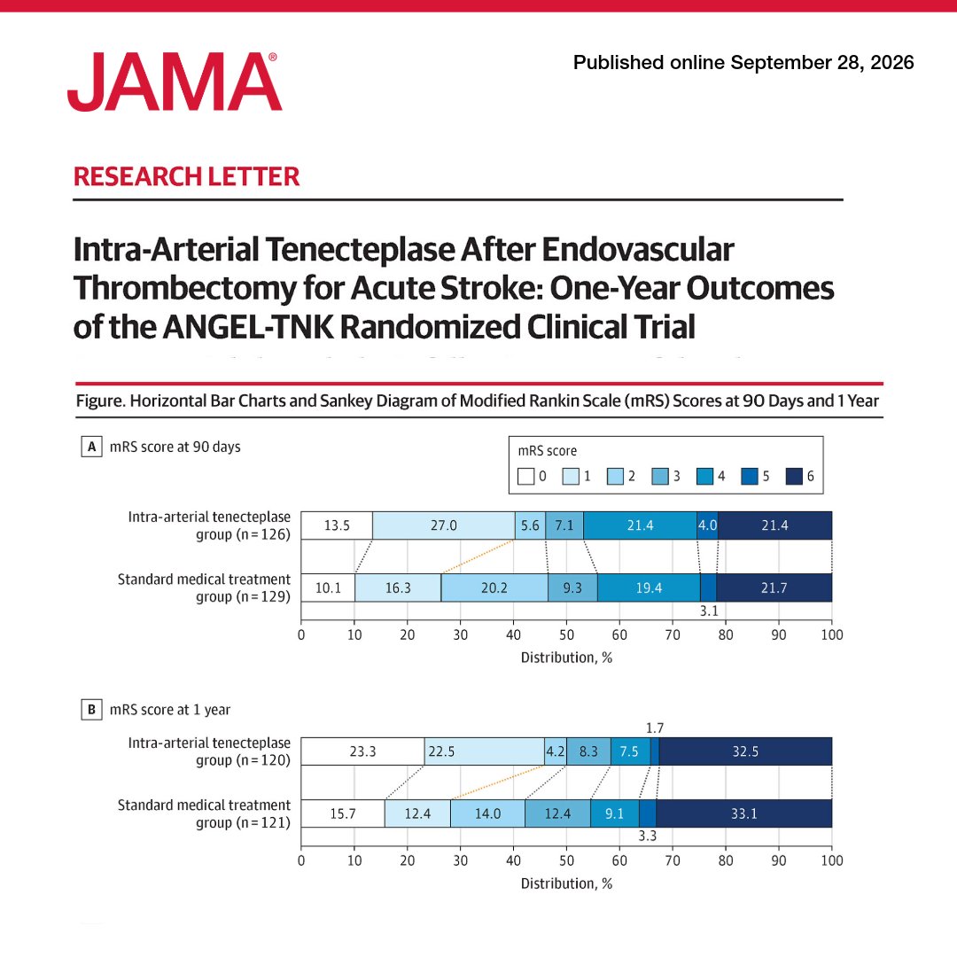 JAMA_current's tweet photo. Among patients with acute ischemic #Stroke who underwent successful #EndovascularTherapy for anterior circulation large vessel occlusion, adjunctive intra-arterial tenecteplase was associated with a higher rate of excellent functional outcome at 1 year vs standard medical treatment. 

Mortality at 1 year was similar between groups.

https://t.co/IK4zYAEcN5