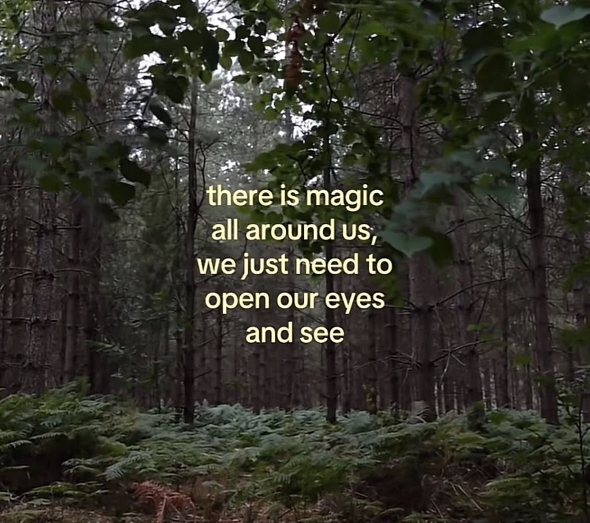 lavender_tones's tweet photo. How does Pinterest see you?
🗝️season
🗝️ love language 
🗝️ animal 
🗝️thoughts https://t.co/xJk1AVrRB1