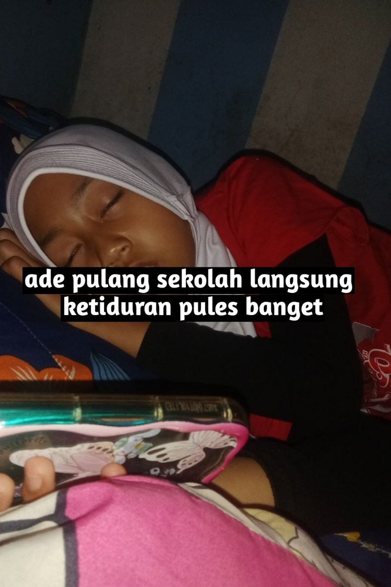 terpzal tweet picture