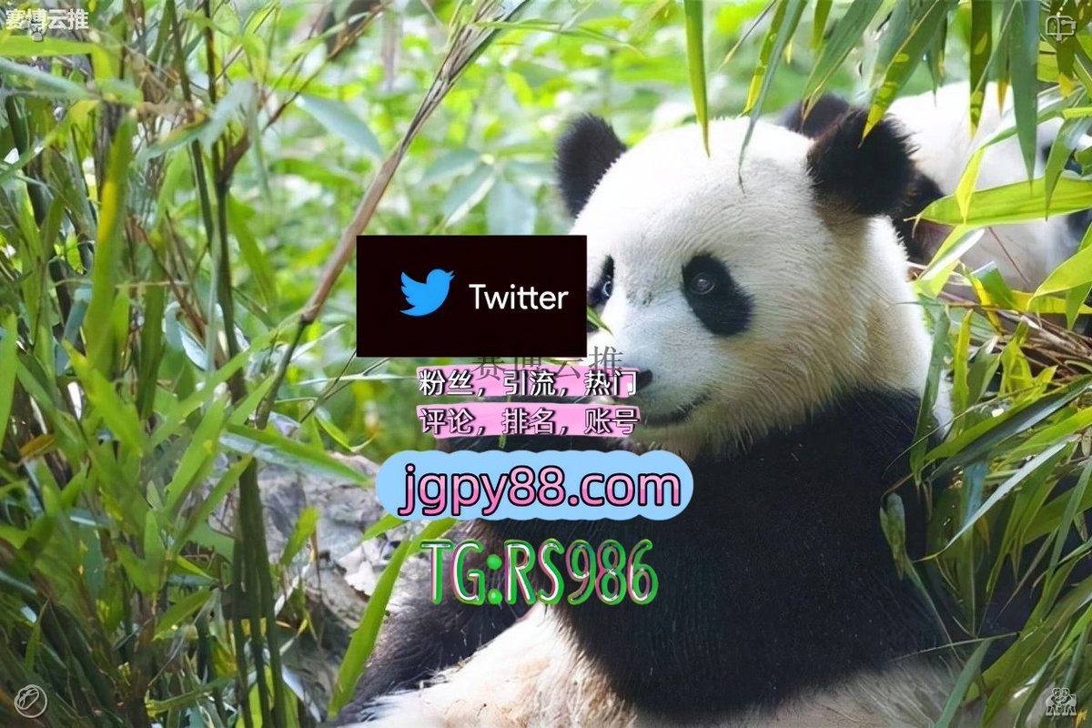 asil_afghan's tweet photo. 心若从容无所畏惧岁月自有最好的安排💋
推特账号购买霸屏🪐群发私信💐海外获客🍀 
热门号 注册号 章丘关键词霸屏🧳熱門🌈权重号🌟推特老号🍄定時發推💐
推广百色 推特软件
推特矩阵系统、Twitter矩阵系统、X矩阵系统池州 世界杯🚅 https://t.co/oqQgKEdhua