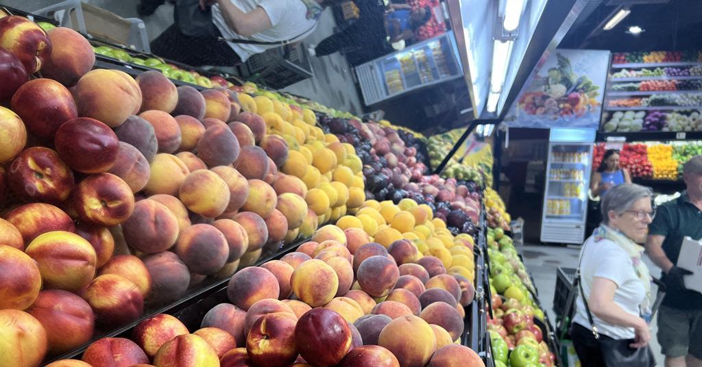 FPJlive's tweet photo. Peach and nectarine crop to rebound to 25mn tonnes https://t.co/HAILikZAFY https://t.co/Mg5KQ8HUaf