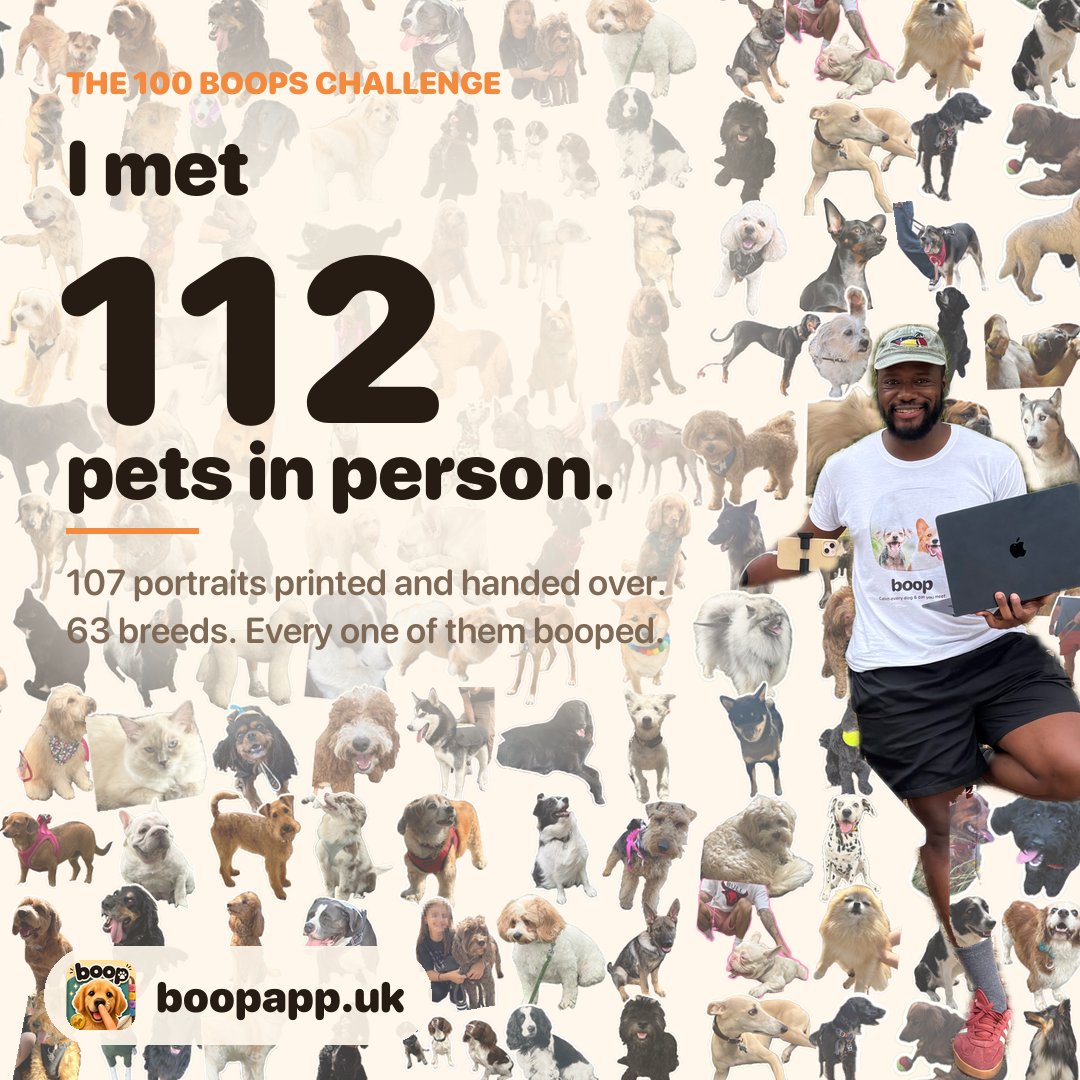 taiomi's tweet photo. 100 Boops: complete ✅

🐶 - 112 pets met in person
🐈 - 107 free portraits printed and handed over
🐾 - 63 breeds
🗓️ - 63 days

Every animal on this picture is one I actually met!

Thank you to everyone who I met, you are all legends!

https://t.co/Ia8reLndEN

#shipaton #buildinpublic