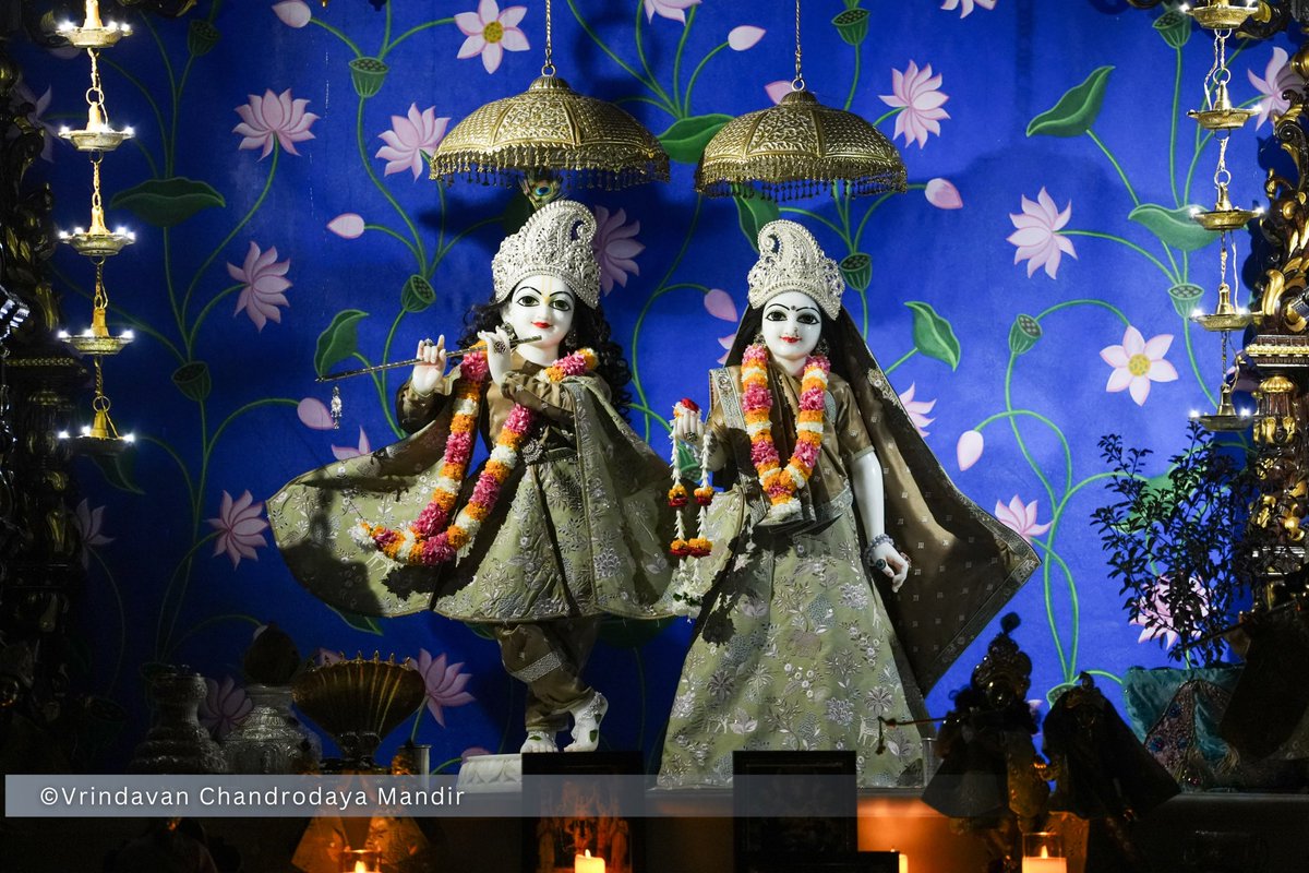 VCMVrindavan's tweet photo. Tonight's Shayana Darshan of Sri Radha Vrindavanchandra - 28 Sep 2026 

#vrindavan #vrindavanchandrodayamandira #Krishna #Radha https://t.co/G2KuKn9ncL