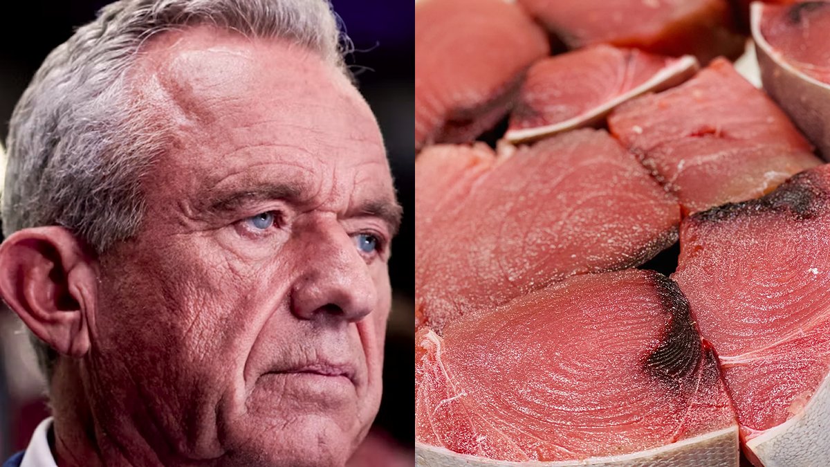 factpostnews's tweet photo. The FDA has announced a recall of 333 pounds of tuna due to elevated levels of the toxin scombrotoxin. https://t.co/r1XawRS2xj