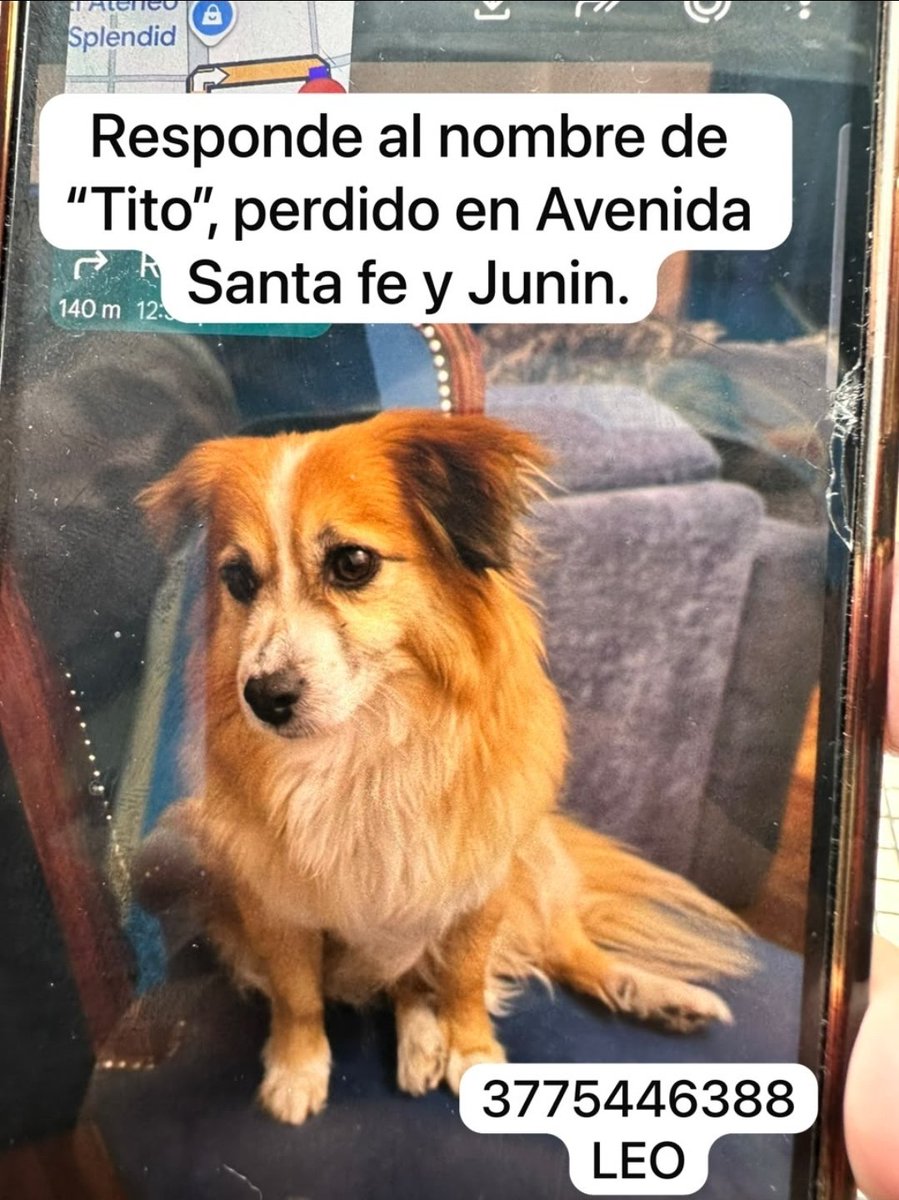 MikeHam060's tweet photo. 🚨 Atención CABA, Comuna 2.  Zona Recoleta.
➡️ Rt 🙏🏻. Gracias. https://t.co/qWoF62EYvo