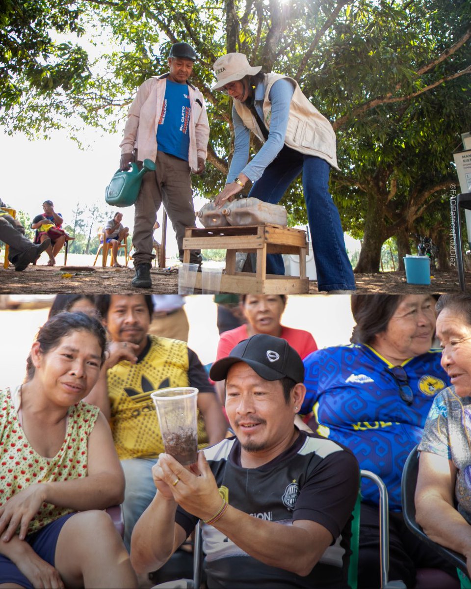 InfonaPy's tweet photo. 💡 Con #PROEZAParaguay, las familias participantes reciben capacitación en manejo de suelos, incorporando prácticas que contribuyen a una producción más sostenible y resiliente frente al cambio climático. 🌱

➡️ https://t.co/OAearjI9fw https://t.co/sm69fTKZh9