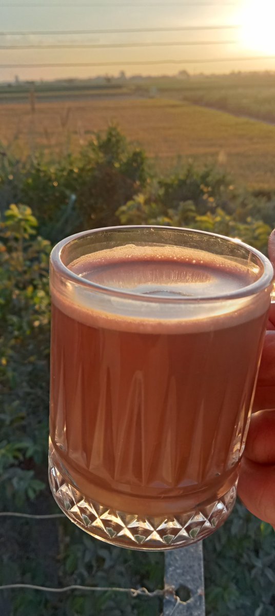 RewaaSobhinblv's tweet photo. "Make peace with the world over a cup of coffee." ☕💗 https://t.co/JSgWIqAJy1