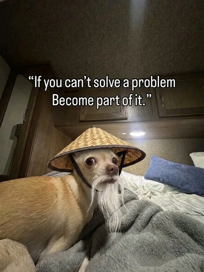 Miniceleb4's tweet photo. Abi 🤣 https://t.co/jH3zsEnypE
