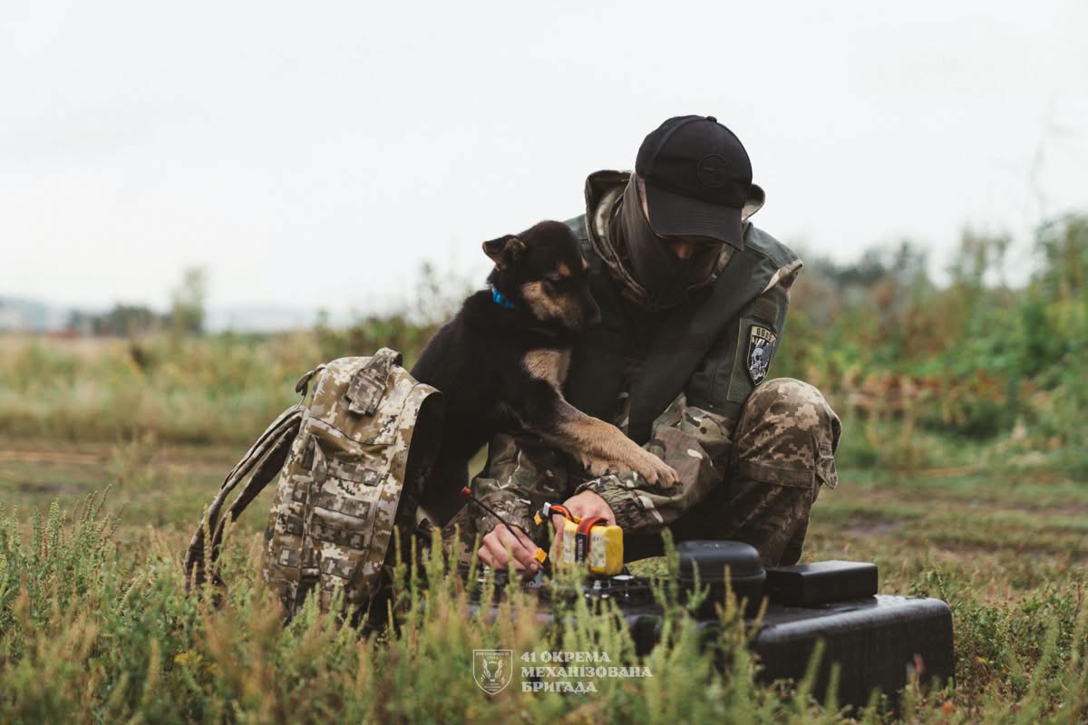 DefenceU's tweet photo. Found as a defenseless puppy. 
Fed, healed, adopted by a drone unit.
Now she sees the pilots off on combat missions and waits for them to come back.

Delta also stands her own watch: when she senses enemy drones or incoming fire, she disappears. The warriors read that as a warning to be especially alert.

📷: 41st Mechanized Brigade