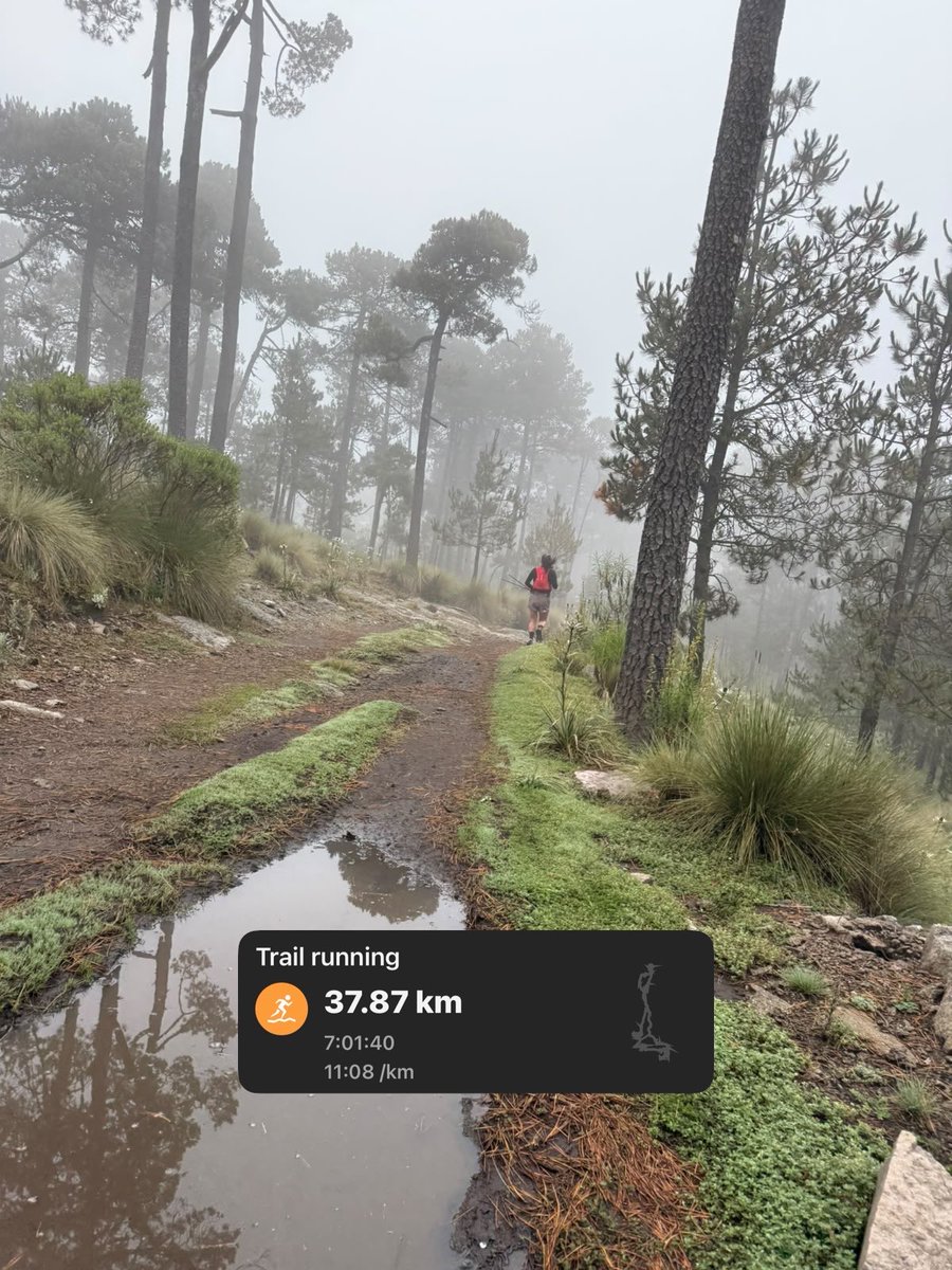 luna08leo's tweet photo. Ayer estuvo rudo el trail, pero una vista espectacular.  Así son mis fines de semana ❤️‍🔥🏃🏻‍♀️
#trailsexy #corredorasexy #runsexy https://t.co/2xfSubiyGL