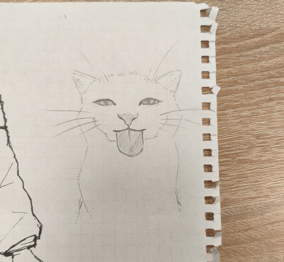 fijerona's tweet photo. Some doodles
#art #doodles #cat #meme #catmeme #blub #zibzab #drawing #sketch #traditionalart https://t.co/PNmjUyuEFy