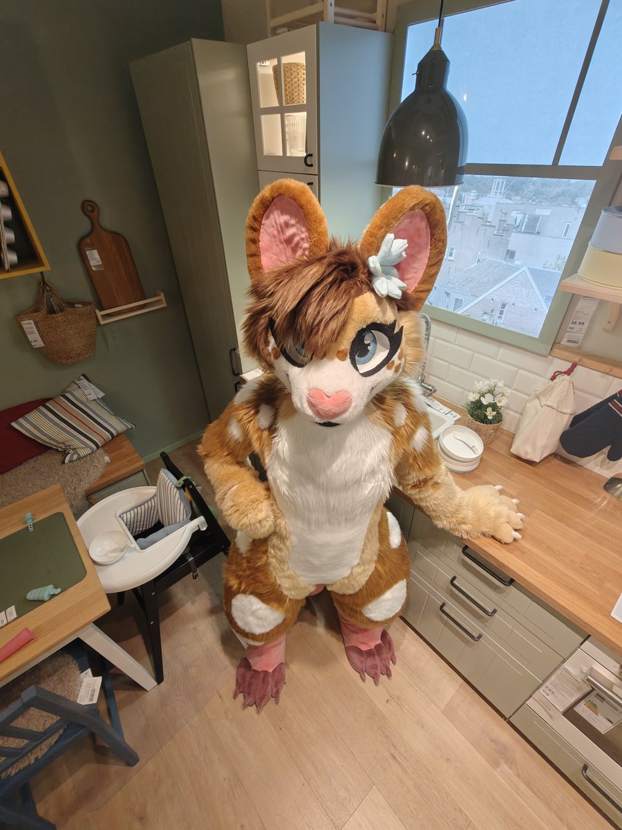 SaraTheMouse's tweet photo. Smol at IKEA 🐁 https://t.co/leiLF5xvdn