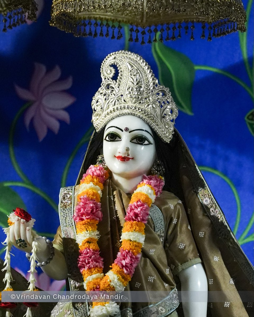 VCMVrindavan's tweet photo. Tonight's Shayana Darshan of Sri Radha Vrindavanchandra - 28 Sep 2026 

#vrindavan #vrindavanchandrodayamandira #Krishna #Radha https://t.co/G2KuKn9ncL