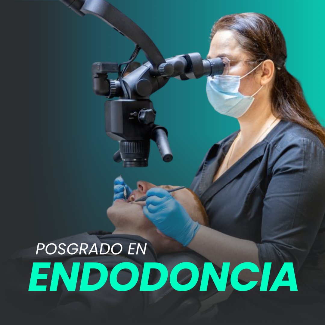 FODUCEoficial's tweet photo. El 𝗣𝗼𝘀𝗴𝗿𝗮𝗱𝗼 𝗲𝗻 𝗘𝗻𝗱𝗼𝗱𝗼𝗻𝗰𝗶𝗮 de la Universidad Central del Ecuador es el programa de inmersión que transformará radicalmente tu perfil profesional.
•  𝗣𝗼𝘀𝘁𝘂𝗹𝗮𝗰𝗶𝗼𝗻𝗲𝘀: Del 5 al 18 de octubre de 2026.
•  𝗔𝗽𝗹𝗶𝗰𝗮 𝗮𝗾𝘂𝗶́: https://t.co/5oPBaI9gSq https://t.co/OV4Pk1tUKE