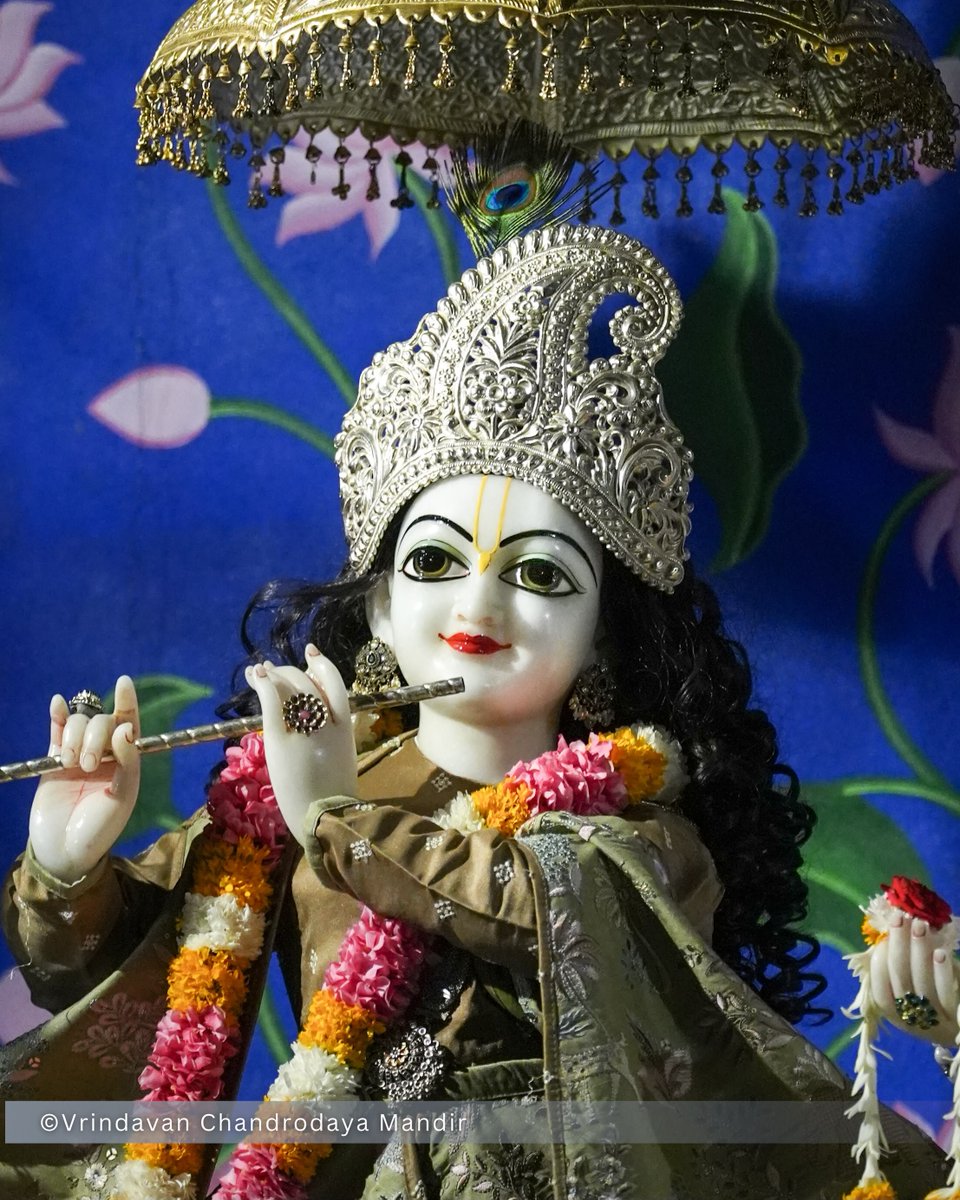 VCMVrindavan's tweet photo. Tonight's Shayana Darshan of Sri Radha Vrindavanchandra - 28 Sep 2026 

#vrindavan #vrindavanchandrodayamandira #Krishna #Radha https://t.co/G2KuKn9ncL