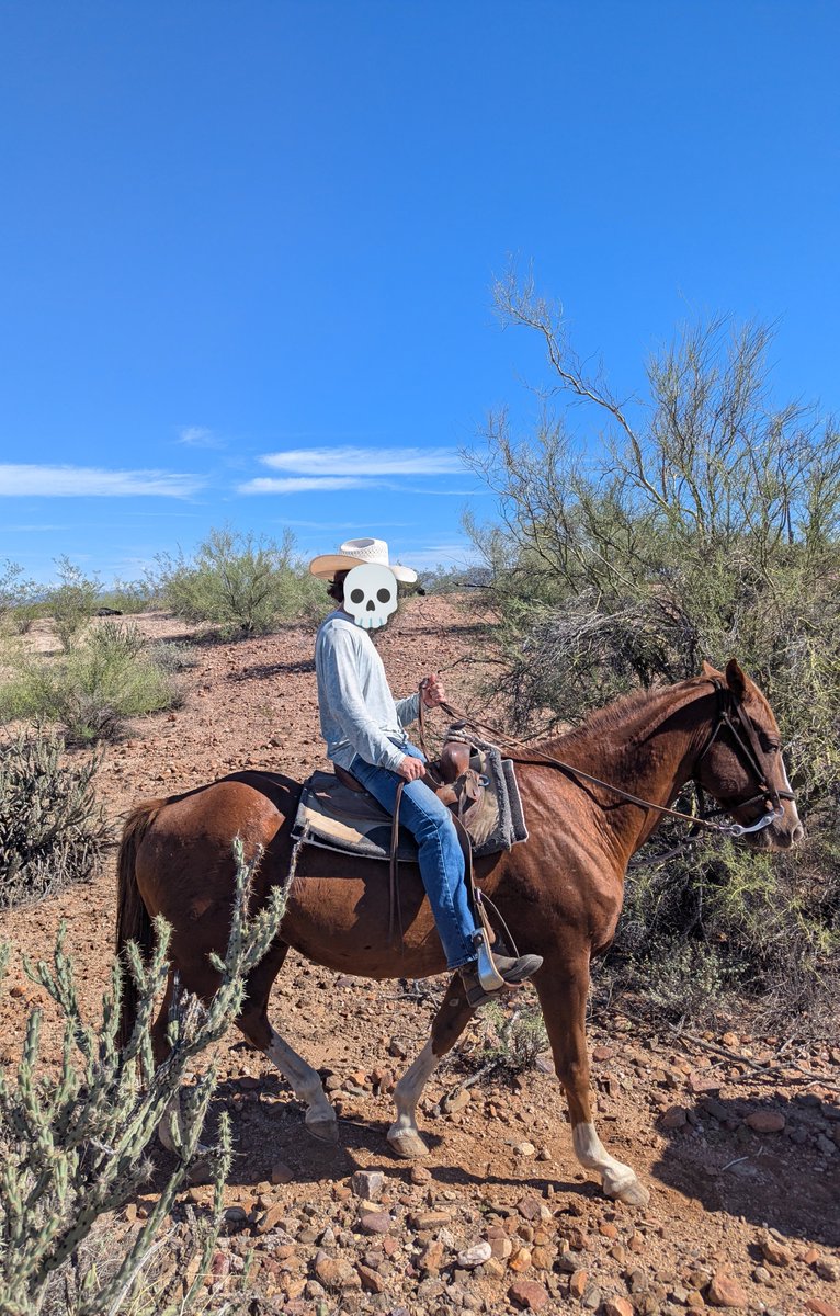 pillar_fire's tweet photo. The desert is a wild place but I miss the trees. https://t.co/rVyGsPogrj