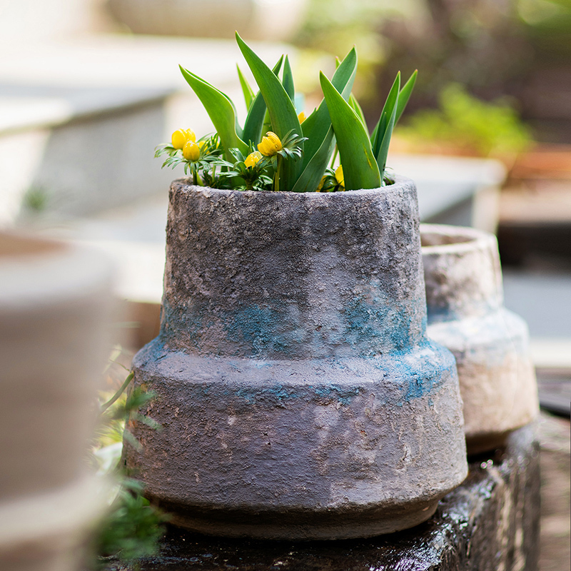 SoFayardmb's tweet photo. Turning an old mason jar into a cute succulent planter—no fancy tools needed! Upcycling made easy and pretty.， https://t.co/F1chH4hgso