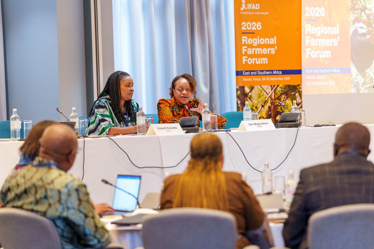 IFADEastAfrica's tweet photo. Today's key takeaway from #FAFO2026: Farmers' organizations are not just beneficiaries of development; they are shaping it.
Through dialogue with @IFAD and partners, they are guiding the programmes, investments, and solutions that strengthen rural livelihoods and food systems. https://t.co/uH9nA5IVnc