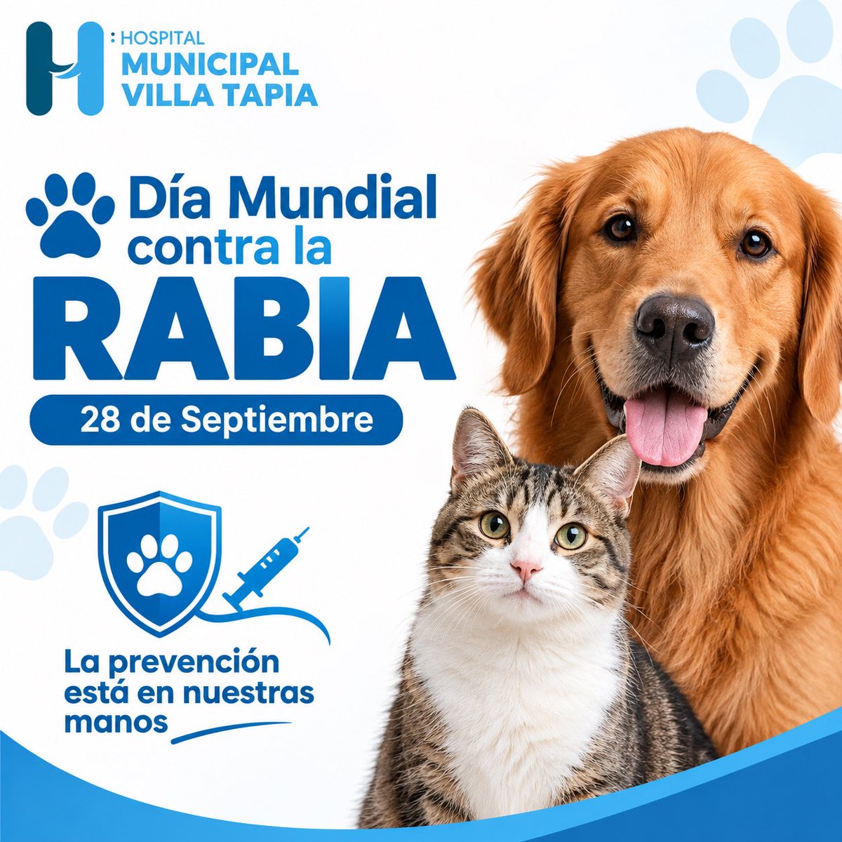 hspmvt's tweet photo. 🐾 Día Mundial contra la Rabia | 28 de septiembre

Hoy conmemoramos el Día Mundial contra la Rabia, una fecha que busca crear conciencia sobre la importancia de prevenir esta enfermedad y proteger la salud de las personas y los animales. https://t.co/Wgjia6zMtn