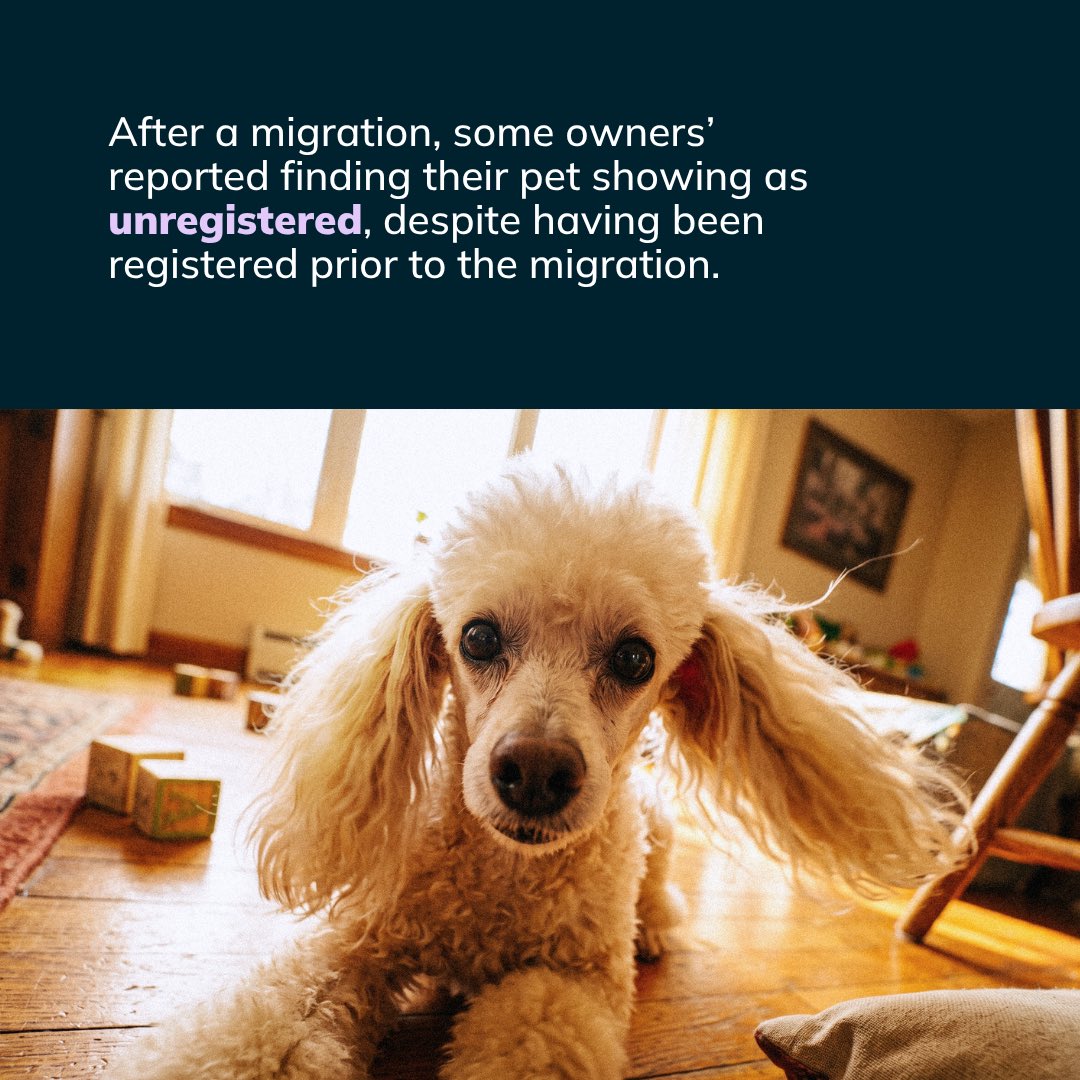 petdatabasecom's tweet photo. Been told your pet's microchip records are moving? Or asked to pay a yearly fee just to keep your details up to date?

You're not alone. Some UK owners have had records migrated with a new subscription attached.

We're here to help https://t.co/BK5LXTxKvM 🐾

#PetOwnersUK https://t.co/r9k4XTndu9