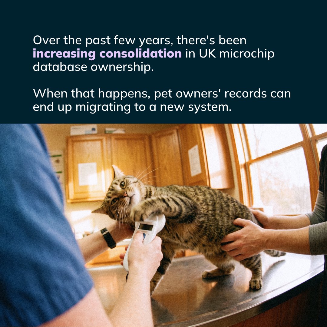 petdatabasecom's tweet photo. Been told your pet's microchip records are moving? Or asked to pay a yearly fee just to keep your details up to date?

You're not alone. Some UK owners have had records migrated with a new subscription attached.

We're here to help https://t.co/BK5LXTxKvM 🐾

#PetOwnersUK https://t.co/r9k4XTndu9
