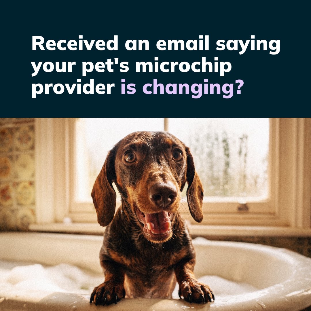 petdatabasecom's tweet photo. Been told your pet's microchip records are moving? Or asked to pay a yearly fee just to keep your details up to date?

You're not alone. Some UK owners have had records migrated with a new subscription attached.

We're here to help https://t.co/BK5LXTxKvM 🐾

#PetOwnersUK https://t.co/r9k4XTndu9
