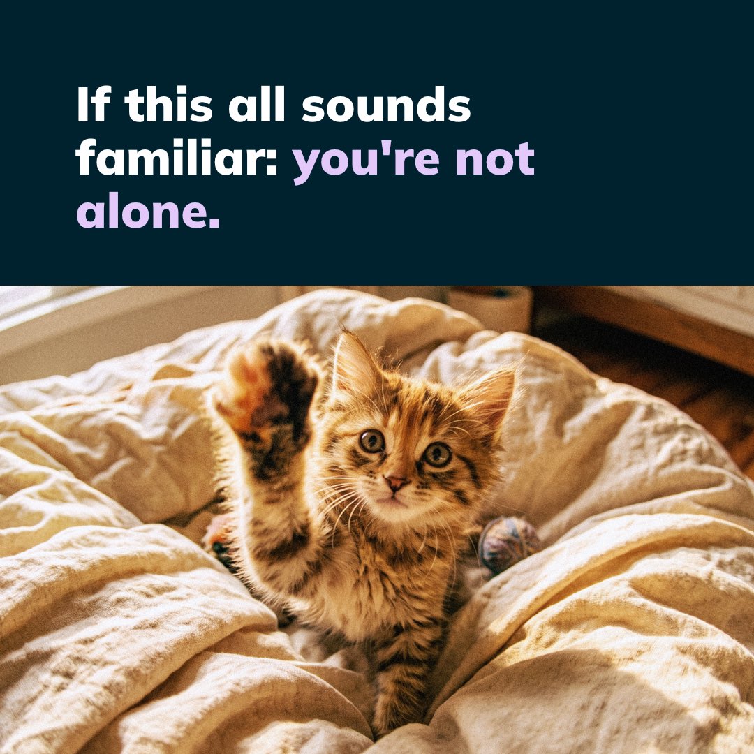 petdatabasecom's tweet photo. Been told your pet's microchip records are moving? Or asked to pay a yearly fee just to keep your details up to date?

You're not alone. Some UK owners have had records migrated with a new subscription attached.

We're here to help https://t.co/BK5LXTxKvM 🐾

#PetOwnersUK https://t.co/r9k4XTndu9