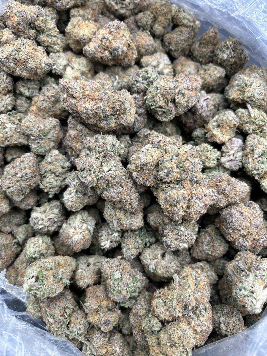 GoldenSgreens's tweet photo. DULCE DE LECHE ($1k)

+1(213) 890-7863 https://t.co/IGSLSU0mYW